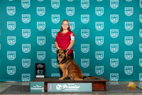 English Shepherd #475 Thur RO Judge Alice Drexler