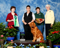 Golden Retriever #R60 Fri High Combined Karen Deeds Judge Donna Eddins