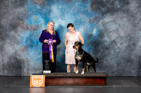 LCLD #129 Sun RBIS Judge Terri Rein