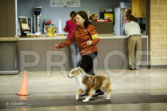 _JJ_6284-BeltonJan2015IABCA-HR3