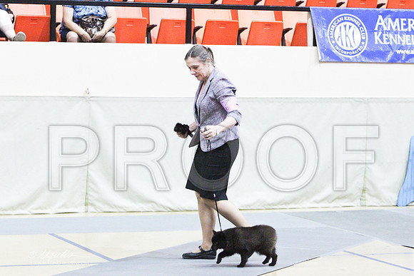 MatchPup-9374LR