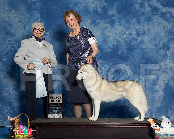 _R1_8266-HuskySltyMar2016-HR3