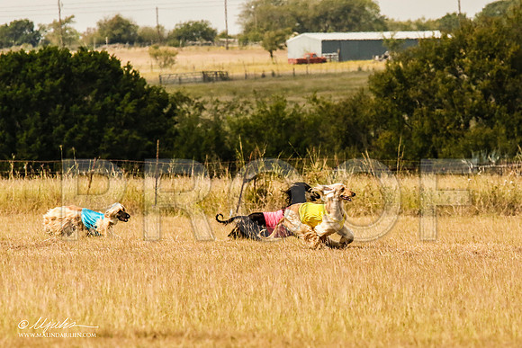 _MJ_5339-AfgBeltonOct2014-HR3