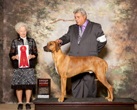 Rhodesian Ridgeback #5 Fri G2 Beckett Janet and John and Kerry Williams Agent Rudy Ayala Judge Paula Hartinger