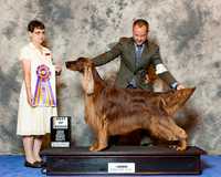 Irish Setter #15 Wed BOB FooteBruce and Mary and Sandra Nordstrom Judge Donna Buxton