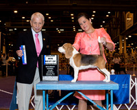 Beagle 13 #8 Sat BOW Maj Gilbert Ahlhardt Agent Laura Chamness Judge Mr Robert Stein