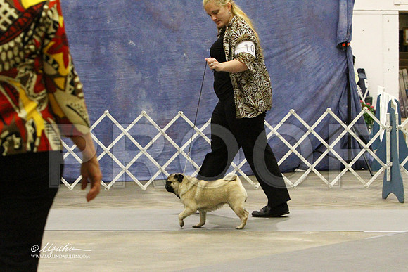 Pug-9346LR
