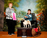 Pug #7 Sun OH G1 Ratliff Kristy and Kevin Judge Ruth Ronrbach
