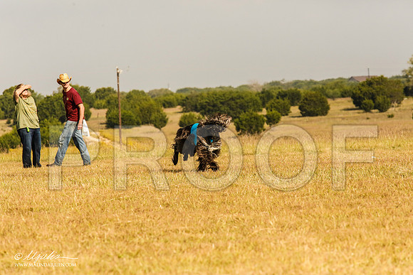 _MJ_3993-AfgBeltonOct2014-HR3