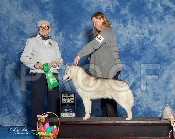 _R1_8312-HuskySltyMar2016-HR3