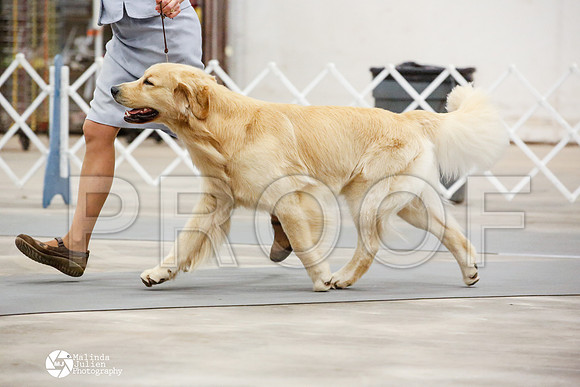 _JN_1247-AblnMay2014-web