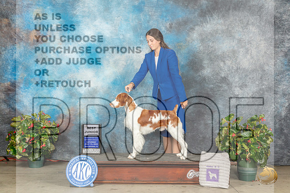 Brittany #J602 Sat BJr Judge Marilyn PipesMJP_9513_SA2023_HR3
