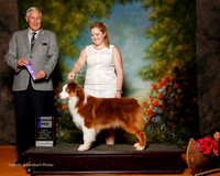 Australian Shepherd #9 Sat WD Kent Emily and Hayden Hadley Judge Brian Meyer