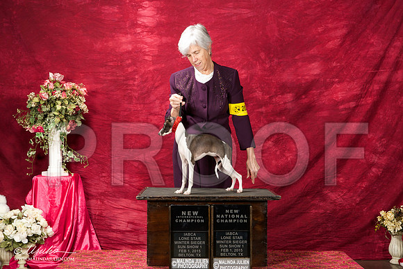 _ST_2767-BeltonJan2015IABCA-HR3