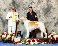 Borzoi #12 Sat G3 Durdin Jean Judge Dr Kenneth Levison