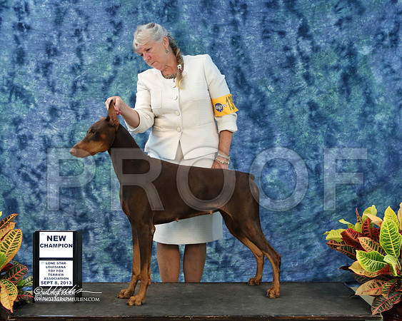 Dobe-6547