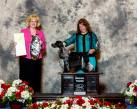 English Cocker Spaniel #29 Thurs G3 Mauterer Deborah and Kristin Lyons Judge Vicki Abbott