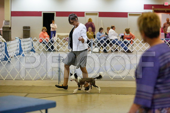 _JJ_9027-AmarilloSept2014-HR3