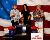 #95 Fri 1st 6-9 Dog Sweeps Mitchell Lisa Judge Sherida Nelson
