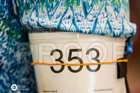 _RH_5707-BsrCtyJun2014-HR3