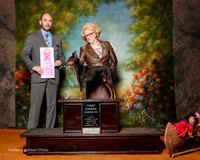 Manchester Terrier #6 Sat OH G1 Barbara Wood and JoAnn Emrick Judge Joe Walton
