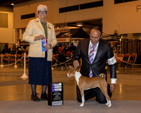 Basenji #20 Sun WB NC Behles JD RJ Walley Judge Mrs Murrel Purkhiser