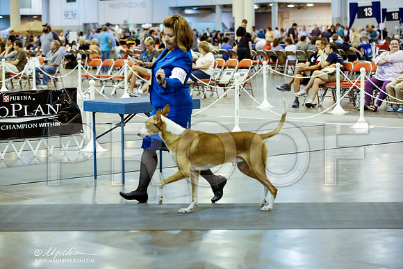 _HR_6738-HstnJul2014-HR3