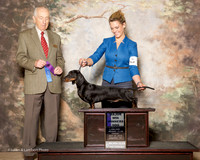 Dachshund #23 Fri Maj WD Yates Susan Judge Roger Hartinger