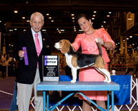 Beagle 13 #20 Sat WB Wolf David & Ann Judge Mr Robert Stein