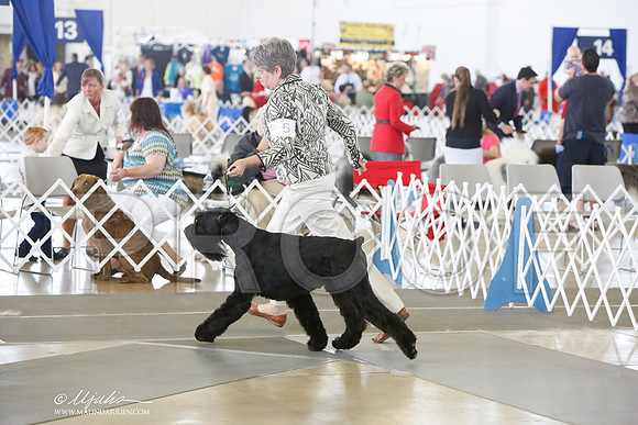 _JJ_0216-DallasJul2014-HR3