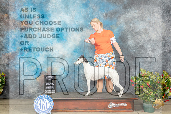 Whippet #24 Thurs G4 Judge Dr Michael J Woods rMJP_7634_SA2023_HR3