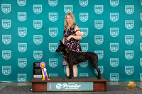 Dutch Shepherd #145 Wed RGCH
