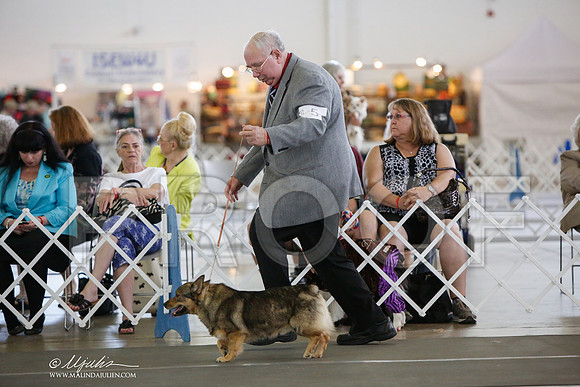 _JJ_3143-DallasJul2014-HR3