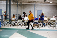 American Bulldog Sat S1 Ring