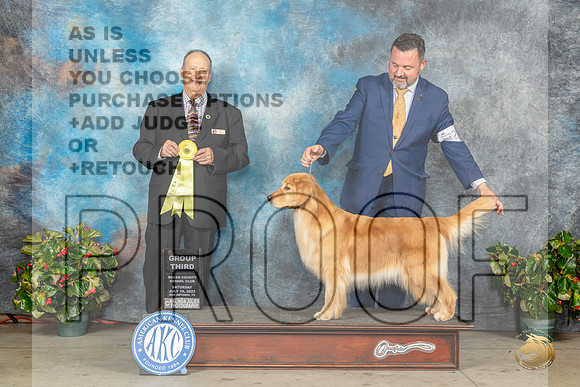Golden Retriever #48 Sat G3 Judge Jay RichardsonMJP_9492_SA2023_HR3