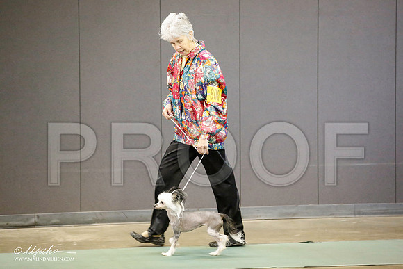 _JN_5735-BeltonJan2015-HR3