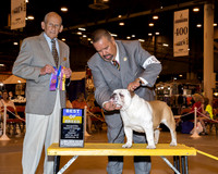 Bulldog #25 Sun BOB Castelan Erwin Judge Dr Robert A Indeglia