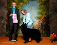 Belgian Sheepdog #6 Sun OH G1 Lachnitt Me and Mrs Paul M Judge Troy Dargin