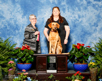Labrador Retriever #R43 Sun NT Williams lynda and Dr Tim Judge Ronnie Bizer