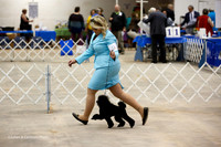 Poodle Toy #10 #16 #9 Tiffany Roberts Ring