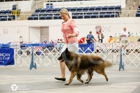 _JJ_9558-AblnMay2014-web