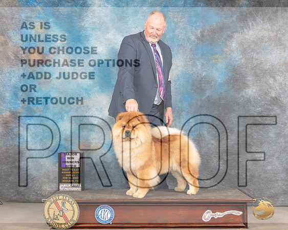 Chow Chow #16 Fri WB Judge Donnelle RichardsMMJ_3209_Mdlnd2022_HR3