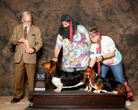 Basset Hound #5 Sat BOB Helms Mike and Charlee Judge Jeffrey Pepper