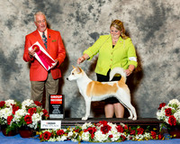 Canaan Dog #6 Sat G2 Davila Rosette Clark an dZelbst and Morales Agnet Tiffany Knox Judge Dr Steve Keating