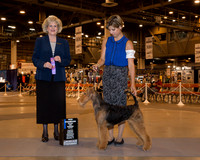 Airedale Terrier #22 Wed Weinberger Phil & Louise Agent Leonard Garcini Judge Mrs Vicki L Abbott