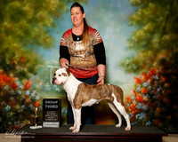American Bulldog Sat S2 Pam Key