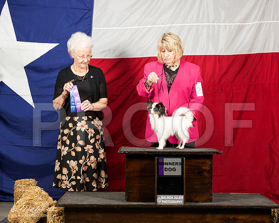_ST_1498-AmarilloSep2014-HR3