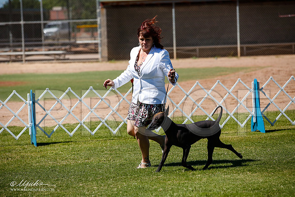 _JJ_8157-AlamogordoOct2014-HR3