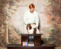 Shih Tzu #10 Sun BOB Mc Cullough Kandice