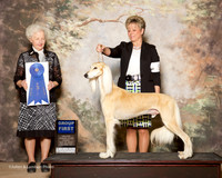 Saluki #9 Fri G1 Middlebrooks and T Turley Kocab and M Kocab Agent Erin Roberts Judge Paula Hartinger